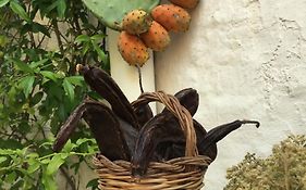 Nenètte